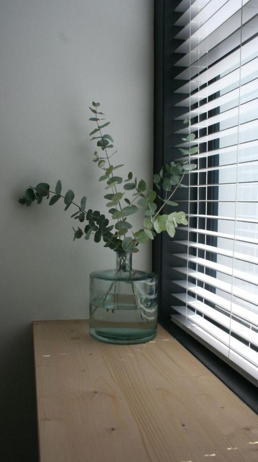 No. 9 Keurboom Apartment Cape Town Bagian luar foto